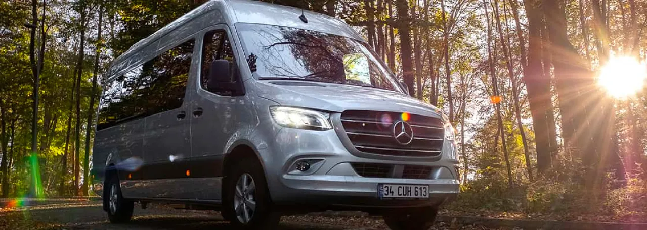 Furgoneta Mercedes Benz plateada en el bosque