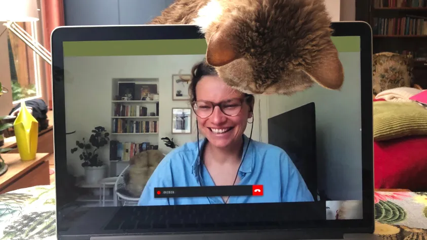 Person smiling on video call while cat sticks its head over the screen to enter the call