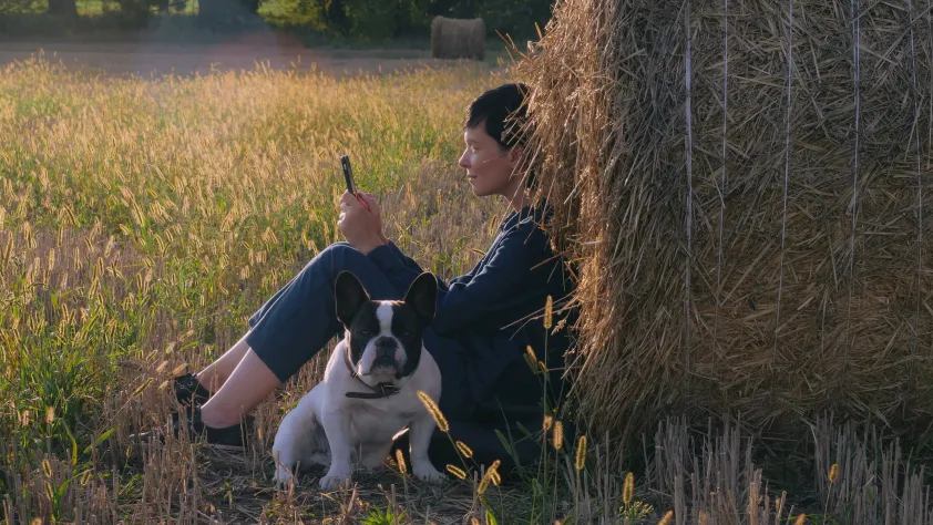 Person sitting in field with a bulldog while reading a brand message via WhatsApp