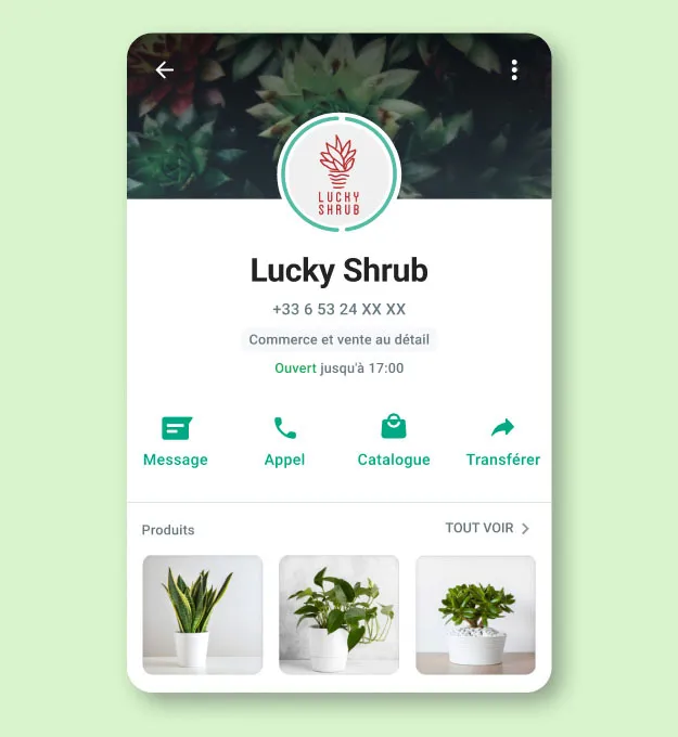 Interface d’utilisation WhatsApp Business