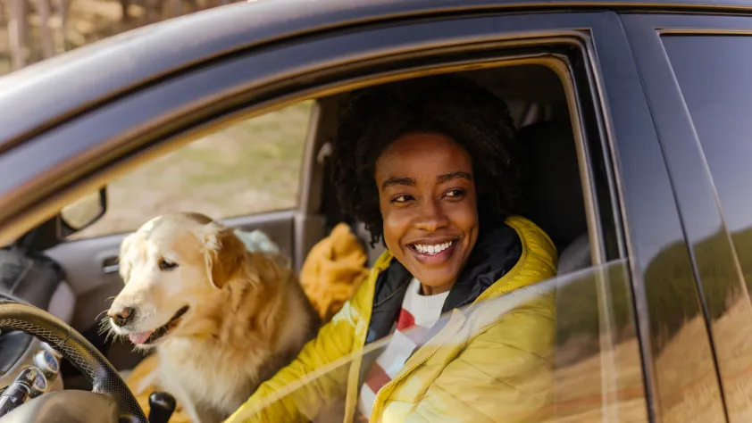 Person driving through campground with golden retriever in passenger seat