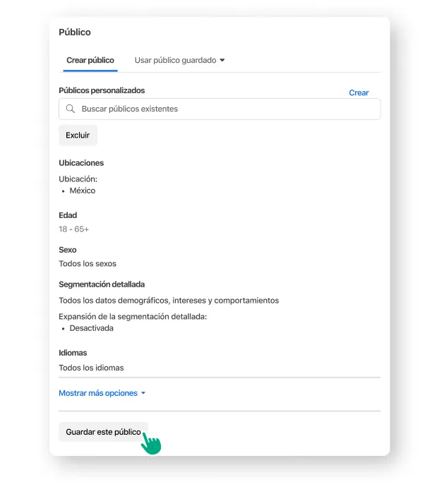Un usuario define el público objetivo y lo guarda