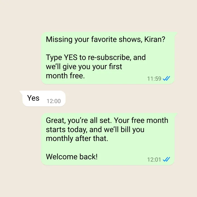 Demonstration of a business retargeting a user, asking them to re-subscribe to a program