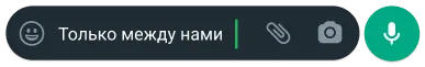 текстовое облако в WhatsApp с сообщением "Только между нами" и окно с настройками конфиденциальности