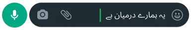 whatsapp پر ایک ٹیکسٹ ببل جس میں لکھا ہوا ہے 'یہ ہمارے درمیان ہے'، اور یہ کنٹرول اور پرائیویسی کی خصوصیات کو ظاہر کرتا ہے