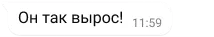 текстовое облако в WhatsApp с сообщением "Он так вырос!"