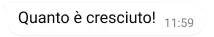 messaggio di testo su whatsapp che dice quanto è cresciuto