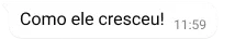 balão de texto no whatsapp dizendo como ele cresceu