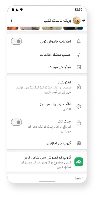 WhatsApp پلیٹ فارم جس میں خاموش انکرپشن والے گروپس اور غائب ہونے والے میسجز کی خصوصیات دکھائی گئی ہیں