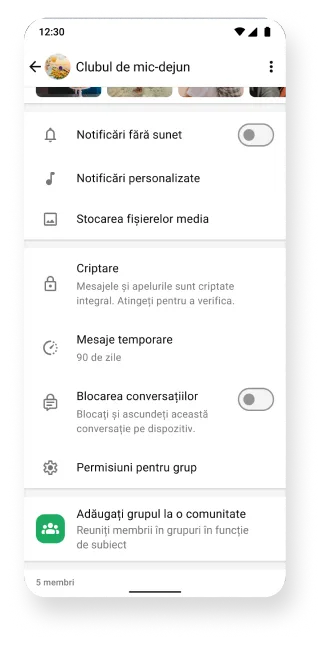 platforma whatsapp ilustrând grupuri cu funcțiile de oprire a sunetului, criptare și mesaje temporare