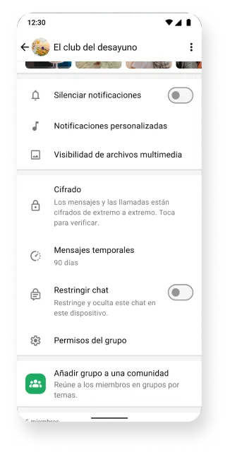 Plataforma de WhatsApp que muestra grupos con las funciones de silenciar, cifrado y mensajes temporales