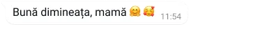 exemplu de text afișat ca bulă pe whatsapp, cu mesajul Bună dimineața, mami și un emoji
