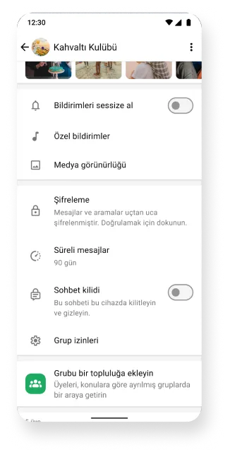gruplar, sessize alma, şifreleme ve süreli mesajlar özelliklerinin gösterildiği whatsapp platformu