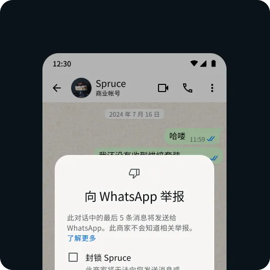 用户举报有问题的联系人或消息,以保障安全的 WhatsApp 体验