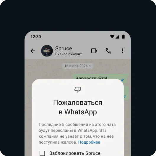 пользователь отправляет жалобу на контакт или сообщение, чтобы обезопасить себя в WhatsApp