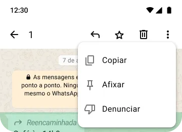 exemplo das funcionalidades copiar, afixar e denunciar no whatsapp para proteger a sua privacidade e segurança
