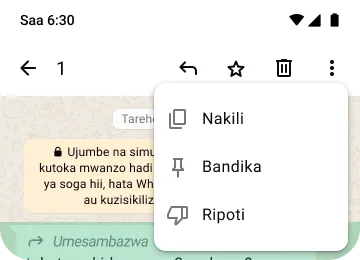 mfano wa vipengele vya nakili pin na uripoti kwenye whatsapp ili kulinda faragha na usalama wako