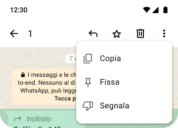 esempio delle funzioni copia fissa e segnala su whatsapp per proteggere la tua privacy e sicurezza