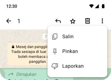 contoh pin salinan dan ciri laporan di whatsapp untuk melindungi privasi dan keselamatan anda