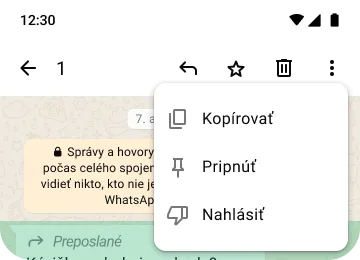 príklad funkcie kopírovania kódu pin a nahlasovania v aplikácii whatsapp v záujme ochrany vašich osobných údajov a zabezpečenia