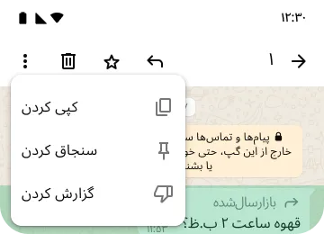 مثالی از ویژگیهای کپی کردن پین و گزارش دادن در واتساپ برای حفظ حریم خصوصی و امنیت شما