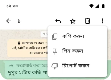 আপনার প্রাইভেসি ও নিরাপত্তা রক্ষার জন্য, WhatsApp-এ কপি পিন করা ও রিপোর্ট করার ফিচারের উদাহরণ