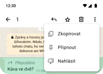 ukázka funkcí Zkopírovat, Připnout a Nahlásit v aplikaci WhatsApp na ochranu soukromí a zajištění zabezpečení