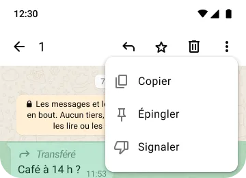 exemple des fonctionnalités permettant de copier, d’épingler et de signaler sur whatsapp pour protéger votre confidentialité et votre sécurité