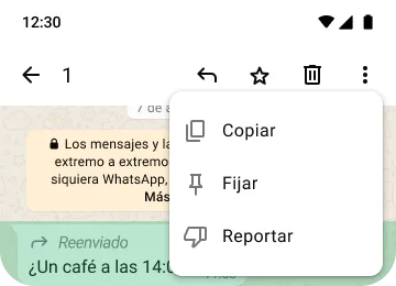 ejemplo de las funciones copiar, fijar y reportar en whatsapp para proteger tu privacidad y seguridad