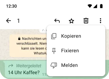 Beispiel: Funktionen zum Kopieren, Fixieren und Melden auf WhatsApp zum Schutz deiner Privatsphäre und Sicherheit