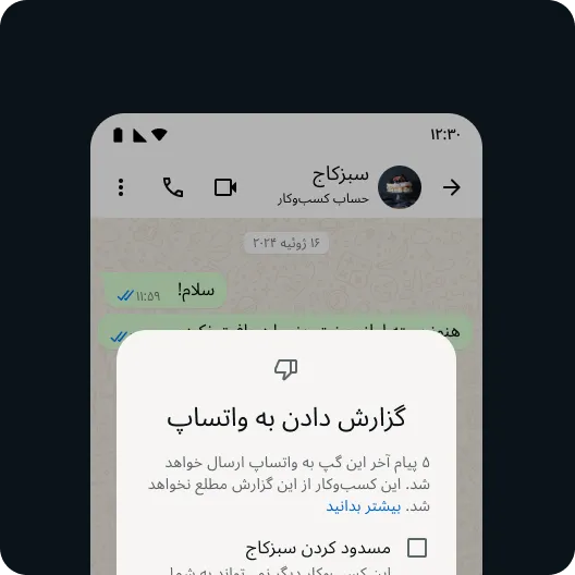 کاربری که مخاطب یا پیامی مشکلساز را گزارش میدهد تا تجربهای امن در واتساپ داشته باشد
