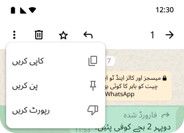 whatsapp پر اپنی پرائیویسی اور سیکیورٹی کو بچانے کیلئے pin کاپی کرنے اور خصوصیات رپورٹ کرنے کی مثال