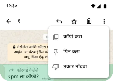 तुमची गोपनीयता आणि सुरक्षा संरक्षित करण्यासाठी WhatsApp वरील पिन कॉपी करा आणि तक्रार करा फीचर्सचे उदाहरण
