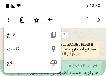 مثال على خصائص النسخ والتثبيت والإبلاغ في واتساب لحماية خصوصيتك وتعزيز الأمان
