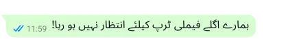 WhatsApp پلیٹ فارم پر محفوظ ٹیکسٹ لکھا ہے کہ اگلی فیملی ٹرپ کیلئے انتظار نہیں ہو رہا ہے