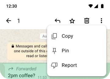 example of copy pin and report features on whatsapp to protect your privacy and security