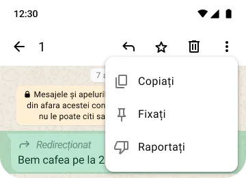 exemplu pentru funcțiile de copiere a codului pin și de raportare pe whatsapp pentru protejarea confidențialității și a securității
