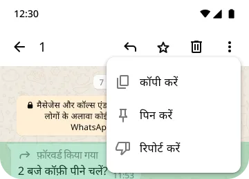आपकी प्राइवेसी और सुरक्षा बनाए रखने के लिए, WhatsApp पर 'पिन कॉपी करें' और 'रिपोर्ट करें' फ़ीचर के उदाहरण