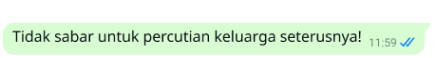 teks dijamin pada platform whatsapp menyatakan tidak sabar untuk percutian keluarga seterusnya