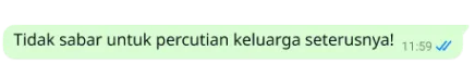 teks dijamin pada platform whatsapp menyatakan tidak sabar untuk percutian keluarga seterusnya