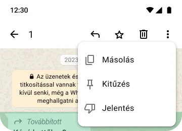 példa az adatvédelmet és a biztonságot szolgáló másolás, kitűzés és jelentés funkciókra a whatsappon