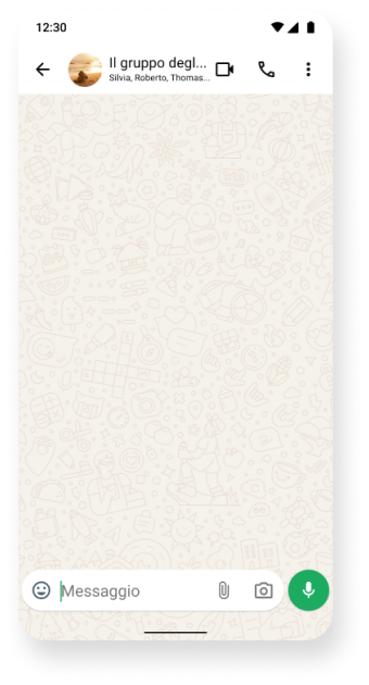 screenshot del gruppo WhatsApp personalizzato chiamato "Il gruppo degli amici"