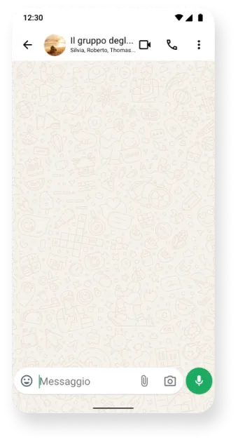 screenshot del gruppo WhatsApp personalizzato chiamato "Il gruppo degli amici"