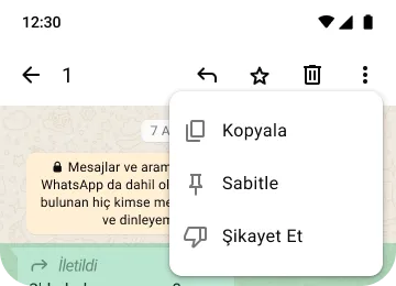 gizliliğinizi ve güvenliğinizi korumanız için whatsapp'ta kopyalama, sabitleme ve şikayet etme özelliklerinin örneği