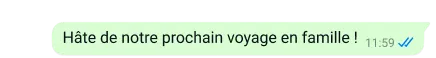 message whatsapp indiquant hâte de notre prochain voyage en famille