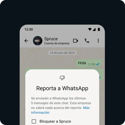 usuario que hace un reporte sobre un mensaje o un contacto problemáticos para mantener una experiencia de whatsapp segura