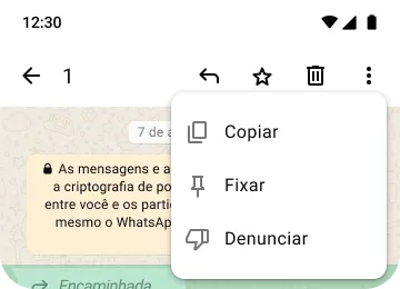 exemplo dos recursos de copiar, fixar e denunciar no whatsapp para proteger sua privacidade e segurança
