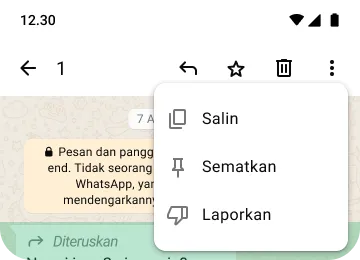 contoh fitur salin pin dan laporkan di WhatsApp untuk melindungi privasi dan keamanan Anda