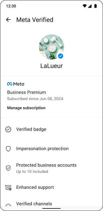 A graphic example of the settings section of meta verified