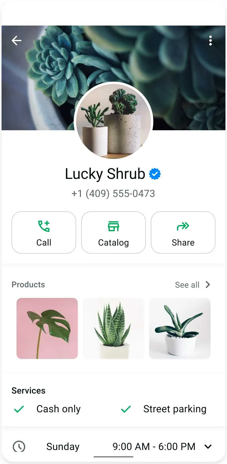 A graphic example of a company profile using meta verified badge